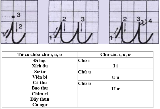 trung tam luyen chu trang ram