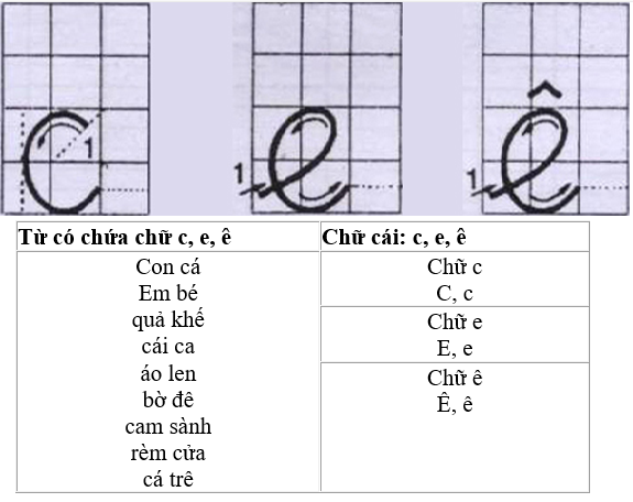 trung tam luyen chu trang ram